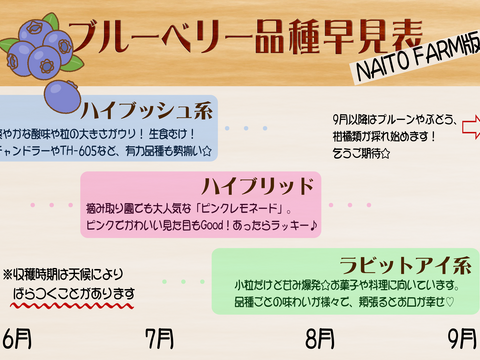 ほおばって！ブルーベリーMIX（500g・品種&サイズ混合）