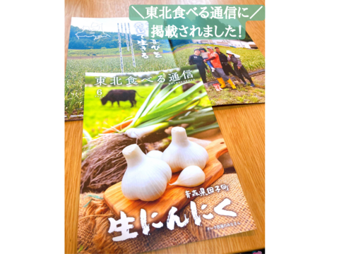 【早い者勝ち】田子町産にんにく【2Ｌサイズ】5玉