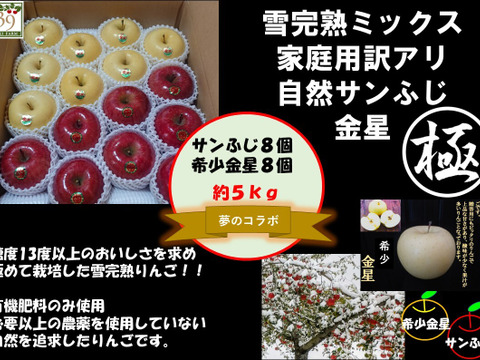 青森県産りんご 希少コラボ 鮮度良し！！果汁タップリ！！りんごの香りタップリ！！
 （極みサンフジ雪完熟りんごと希少金星ミックス）
５kg１６個入り