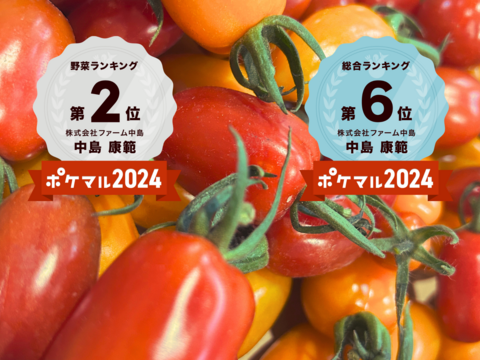 期間限定20%オフ！フルーツのような高糖度『プレミアムおのんとまと』4kg