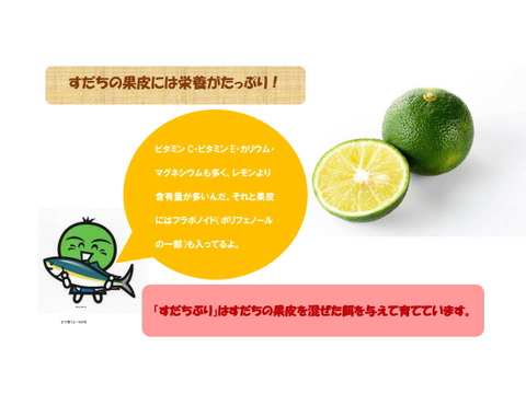 【一番売れ筋！】徳島県産ブランド「すだち鰤（ぶり）」ブリフィレー2枚（3.2kg）