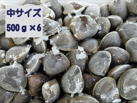 数量限定 （3kg)

食べチョク登録記念！
冷凍品『とれたて新鮮しじみをすばやく冷凍』十三湖産大和しじみ（砂抜き済み）　中サイズ500ｇ×6Ｐ