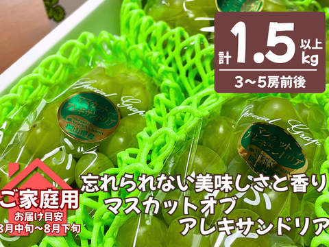 忘れられない美味しさと香り　岡山県からお届け　マスカットオブアレキサンドリア　1.5キロ以上
