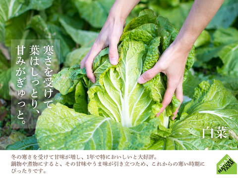 【淡路島産】冬ギフト_旬の冬野菜セット！ 6~7種詰め合わせ