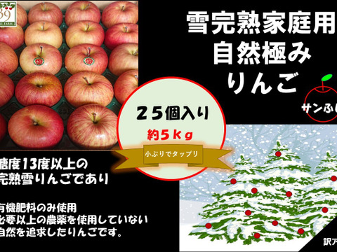青森県産りんご 　選びに選び抜いたりんご！！自然たっぷりの味！！家庭用訳アリ 5kg  25個入り