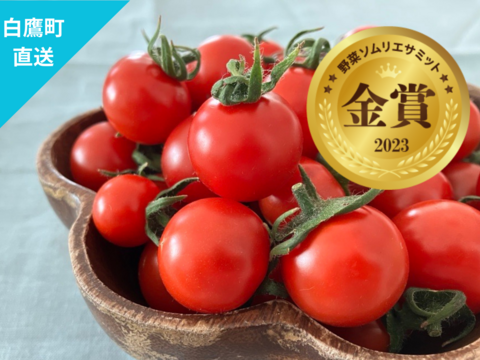 【野菜ソムリエサミット金賞受賞】フルーツトマト『アマティ』1kg（250gx4p）