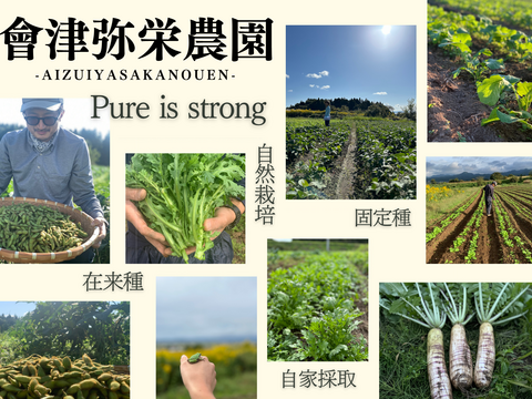 【大根葉好き必見】会津赤筋大根の葉 自然農法 1.5kg (8~10株程度の量 )