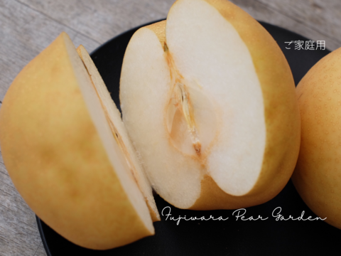 【新高】【ご家庭用3kg】ガシッとワイルド☆しっかり甘い＊食べ応えも大満足＊男性に人気！！庄内甘熟梨【おためし品】