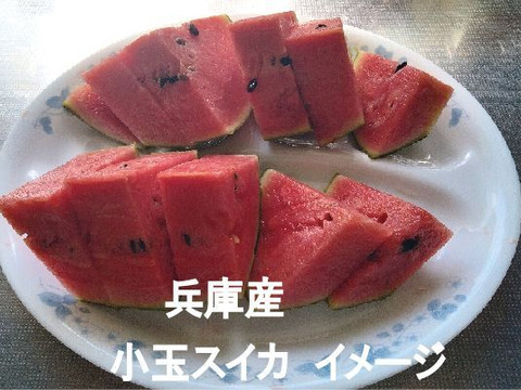 兵庫産小玉すいか1玉（ニュー小玉）④