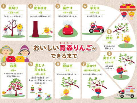 数量限定！　おまけ付き　１００％青森りんごジュース　1L×６本入