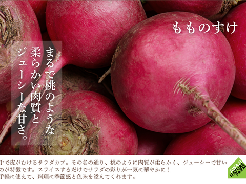 【淡路島産】冬ギフト_旬の冬野菜セット！ 6~7種詰め合わせ