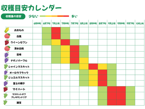 忘れられない美味しさと香り　岡山県からお届け　マスカットオブアレキサンドリア　1.5キロ以上