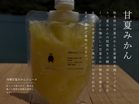 夏ギフト】冷凍甘夏みかんジュース6本セット（1本150ml）：熊本