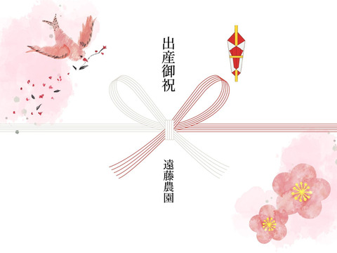 【期間限定】平飼い鶏の初産み卵 6個入×4パック 24個入 ギフトにもおすすめ♪ 遠藤農園 埼玉県加須市 後藤もみじ卵