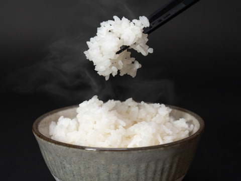 【熊本県限定品種】熊本の美味しい水で育てた白く輝く『くまさんの力』白米3キロ（農薬化学肥料不使用栽）