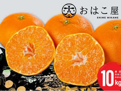 『大人気商品』おはこやのおはこみかん  10㎏