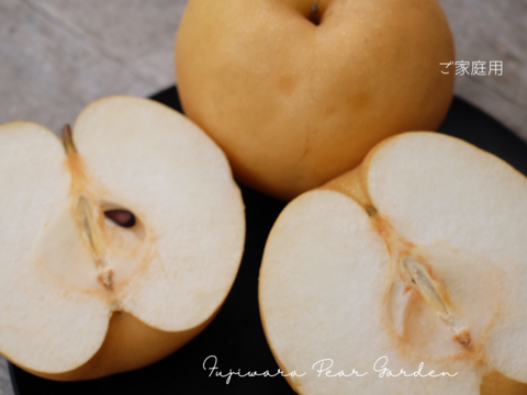 【新高】【ご家庭用3kg】ガシッとワイルド☆しっかり甘い＊食べ応えも大満足＊男性に人気！！庄内甘熟梨【おためし品】