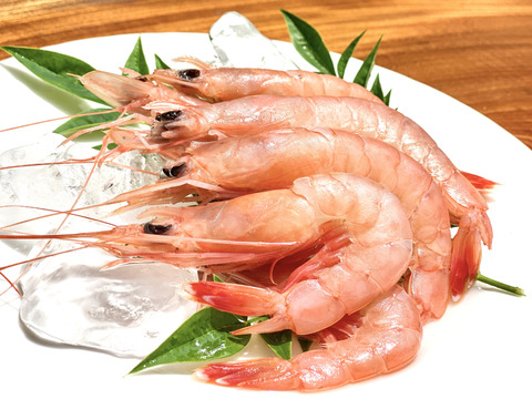 【敬老の日ギフト】数量限定！特割とおまけ付きトロえび大１kg（500g×２P）