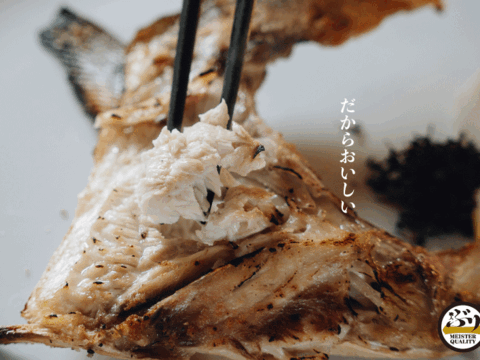 【鹿児島産ぶり】冷凍・ぶり１尾セット（皮無ロイン背腹計４ｐ、カマ２ｐ）