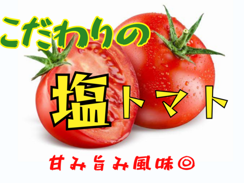 塩トマト【贈答用B】1.4kg