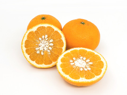 甘夏 <優~秀品> 10玉