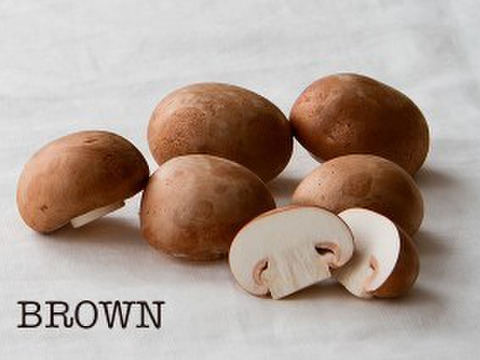 料理王国100選2024"優秀賞"に選出★【八幡平マッシュルーム ブラウン】 1kg