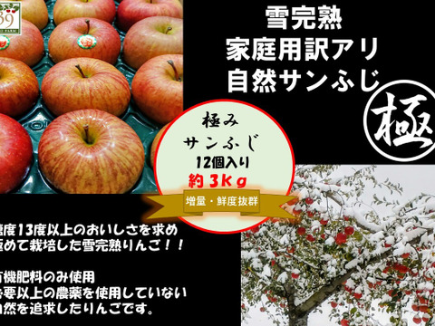 青森県産りんご『 人気の為りんご1個増量』
糖度１３%以上　 家庭用　雪完熟極み葉とらずサンふじ
約３kg１２個入り