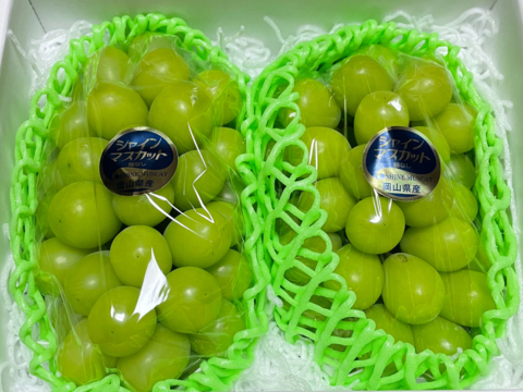 お盆シーズンの贈り物に！『岡山県産ぶどう』シャインマスカット 1.5キロ以上お入れ致します