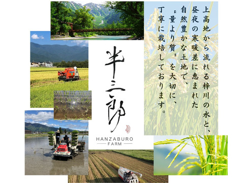 【令和７年産】栽培期間中農薬不使用　コシヒカリ　玄米　10kg