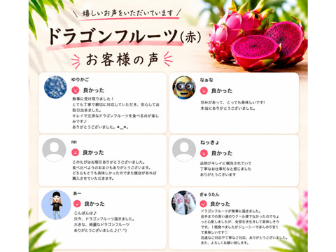 石垣島産☆『ドラゴンフルーツ(赤)』栽培期間中農薬不使用 2kg：沖縄県