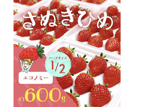 【苺音エコノミーハーフ約600g】香川県産さぬきひめ｜食べチョクいちごグランプリ2025金賞受賞❗️