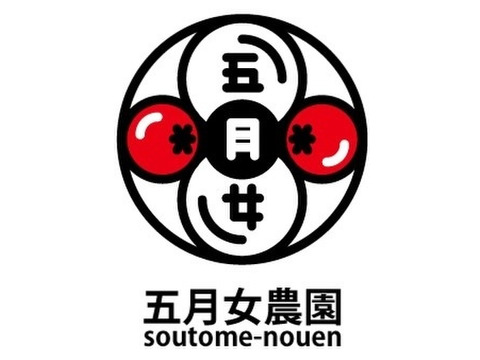 半端ない新鮮さ!!余計な農薬を使わないからできる本物の味!! 五月女農園のトマト(4㎏)