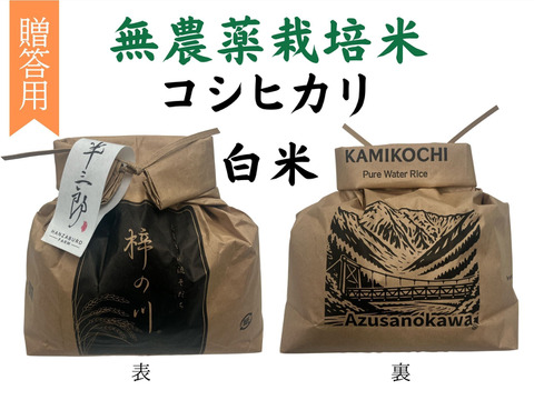 【令和７年産】農薬不使用　コシヒカリ　白米　3kg　贈答用