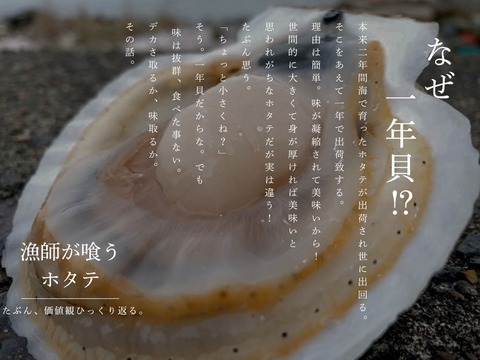 これが本物！漁師が喰うホタテ【１㎏】ヘラ付