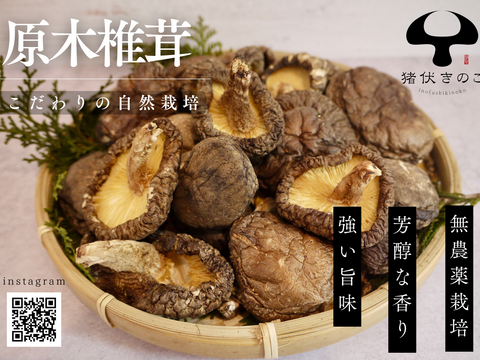 【２袋セット】大分県産「原木栽培」肉厚どんこ50g スライス干し椎茸40g