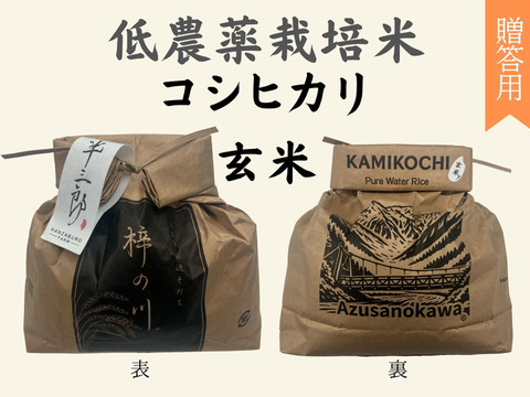 【令和７年産】低農薬栽培米　コシヒカリ　玄米　3kg　贈答用