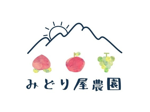 長野県松本産　サンふじ　約５キロ 16〜12玉