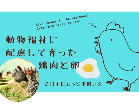 【動物福祉】に配慮して育った鶏肉（モモ＋胸）と平飼い卵！