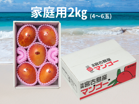 【家庭用】宮古島産完熟マンゴー2㎏(4～6玉)