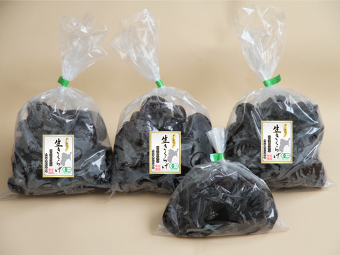 ≪オーガニック≫【業務用】国産生きくらげ（黒）（300g×3袋）+