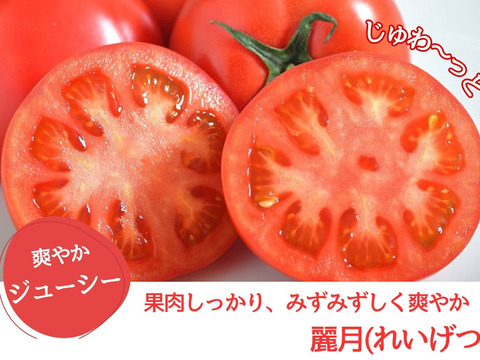 【糖度8.5度以上】極甘スーパー麗月1ｋｇ