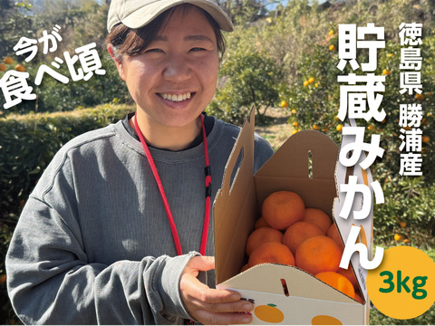 【手土産にも】勝浦産 貯蔵みかん（家庭用）3kg｜徳島県勝浦町