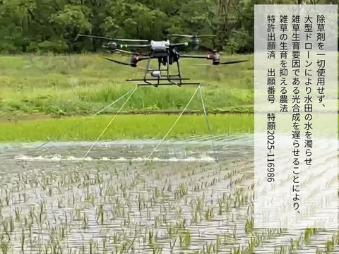 令和７年産【栽培期間中農薬不使用】コシヒカリ　白米  3kg