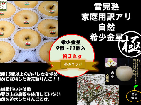 青森県産りんご 出回ってない珍しい希少品種
「限定１０セット」極み甘み雪完熟金星　9個～11個入り