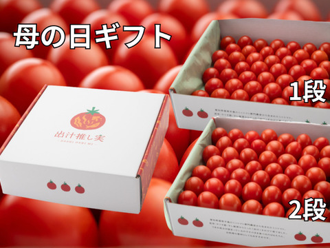 【母の日ギフト】選べる【メッセージカード付き】出汁と温泉で育てた超濃厚ミニトマト♪ギフト用2段★日時指定・贈り物