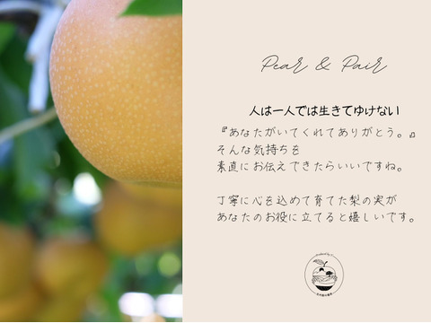 幸水｜実り箱6kg｜家族で囲む夏の梨 ｜8月中旬発送予定【ご家庭向】
