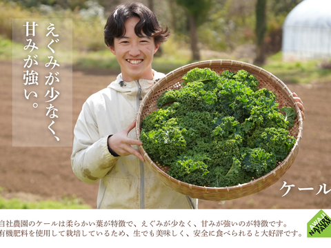 【淡路島産】冬ギフト_旬の冬野菜セット！ 6~7種詰め合わせ