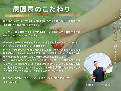 品種お任せ！　いちごグランプリ2025「総合大賞」！  コードファーム175の大粒いちご 15粒入りセット　　450ｇ
