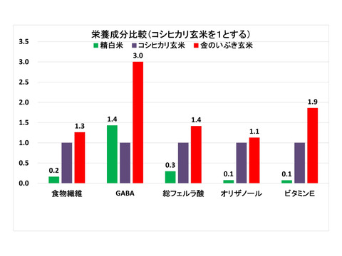 【５％OFF！】【令和６年産】自然栽培「金のいぶき」玄米　５ｋｇ　＋　高オレイン酸大豆１ｋｇ