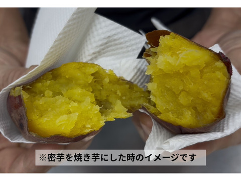 ねっとり熟成密芋！！約２ヵ月以上追熟済み！シルクスウィート（約５kg）